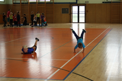 Obrázek v galerii